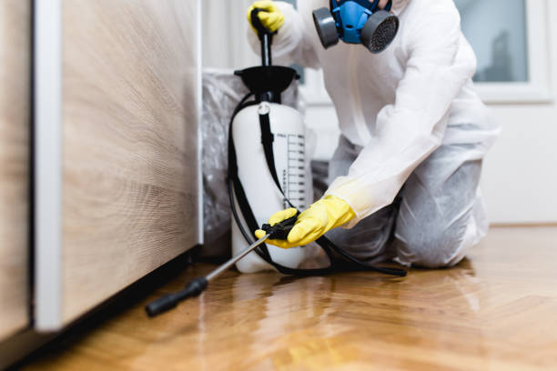 Pest Prevention Services in Arnaudville, LA