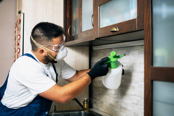 Best Mosquito Control Services  in Arnaudville, LA