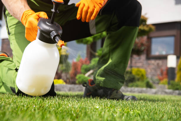 Best Local Pest Control Services  in Arnaudville, LA