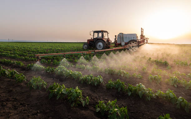 Best Cockroach Control Services  in Arnaudville, LA