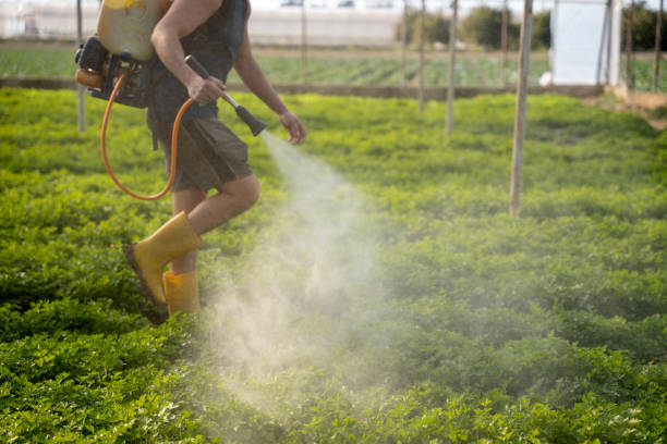 Pest Prevention Services in Arnaudville, LA
