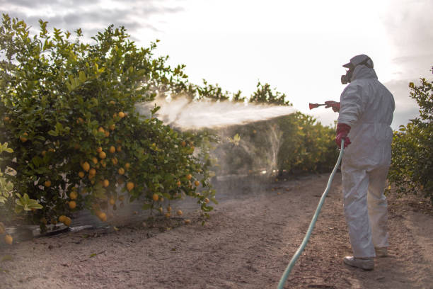 Best Wildlife Control Services  in Arnaudville, LA