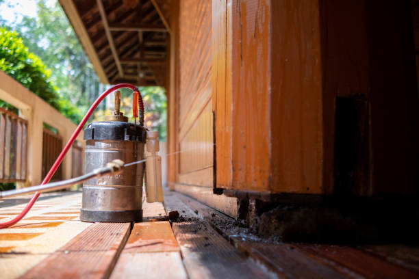 Best Best Pest Control Companies  in Arnaudville, LA