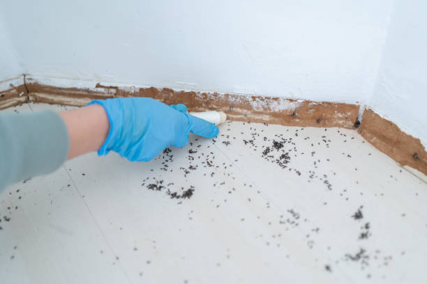 Pest Control for Restaurants in Arnaudville, LA