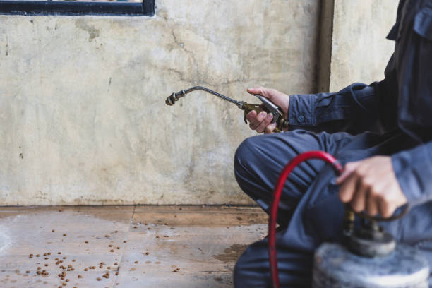 Pest Control Cost in Arnaudville, LA